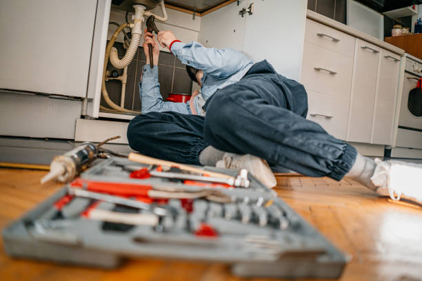 Best Emergency Plumber  in Edinburg, IL