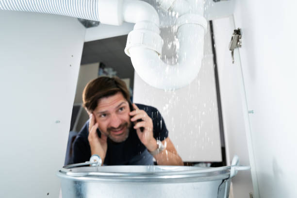 Best Water Leak Repair  in Edinburg, IL