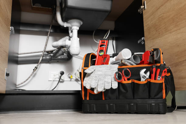 Best Affordable Plumber Near Me  in Edinburg, IL