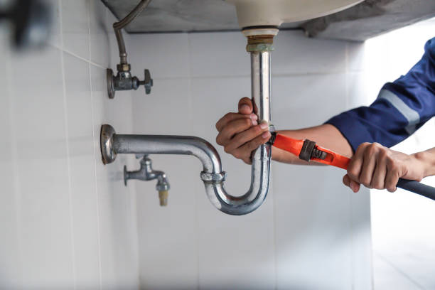 Best Toilet Repair Services  in Edinburg, IL