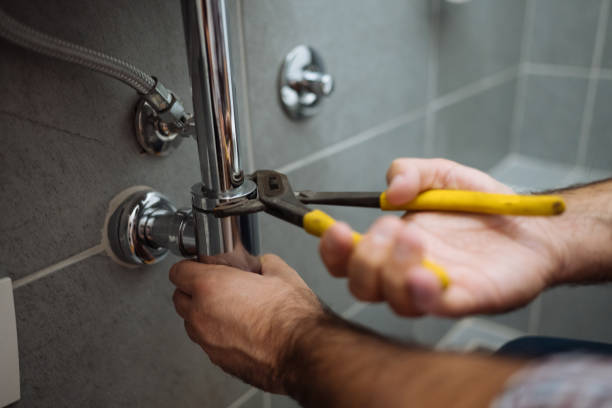 Best Residential Plumbing Services  in Edinburg, IL