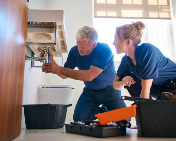 Best Affordable Plumbing Services  in Edinburg, IL